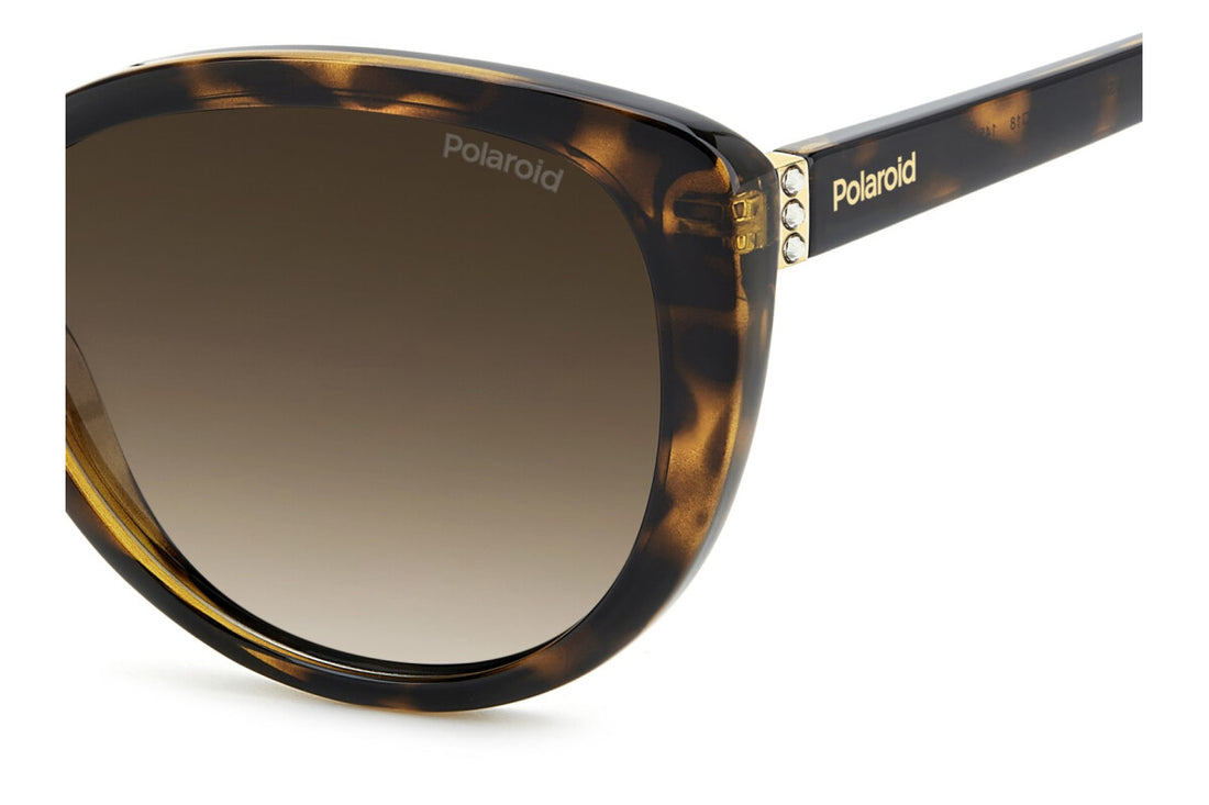 Polaroid 4176/S Women Tortoise Sunglasses