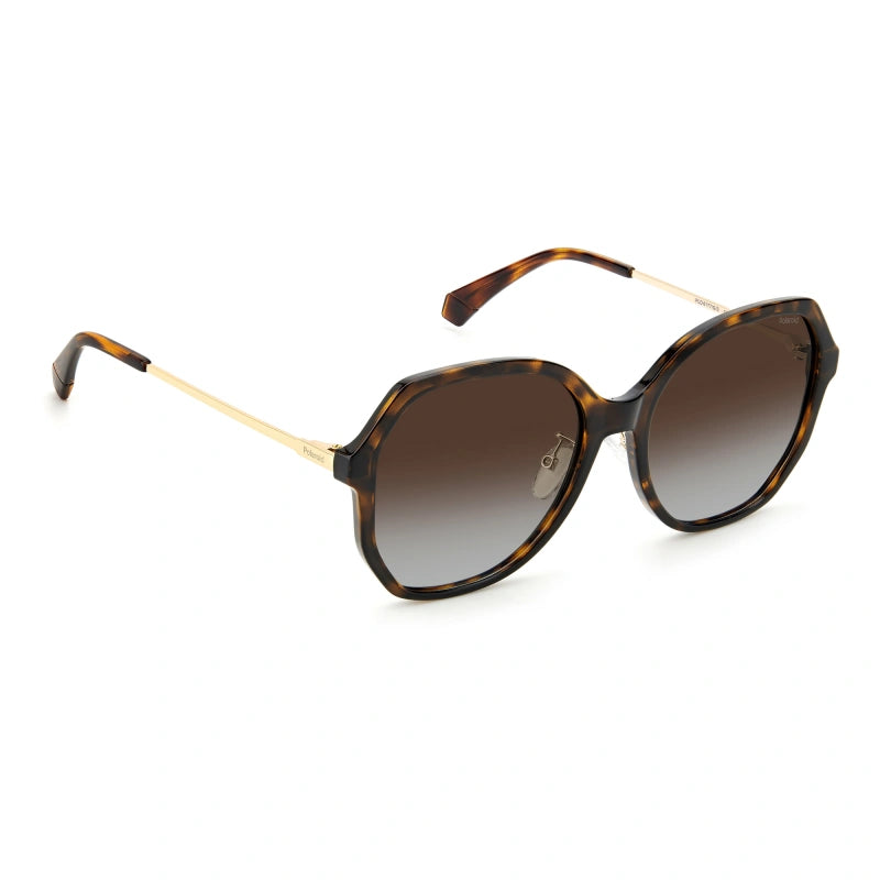 Polaroid 6177/G/S Men Tortoise and Gold Hexagonal Sunglasses