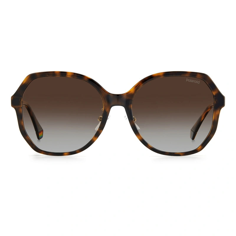 Polaroid 6177/G/S Men Tortoise and Gold Hexagonal Sunglasses