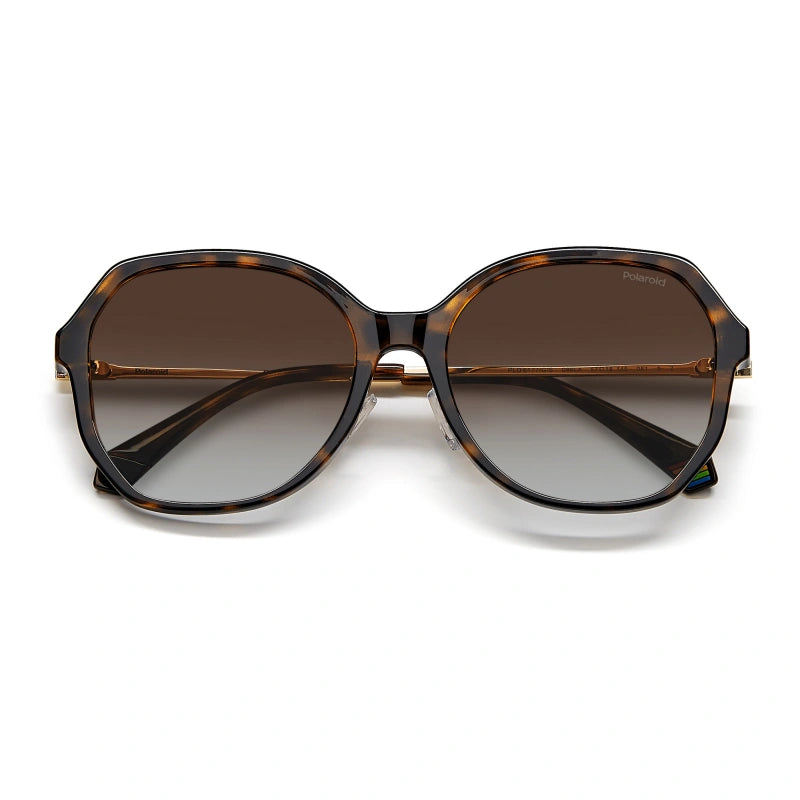 Polaroid 6177/G/S Men Tortoise and Gold Hexagonal Sunglasses