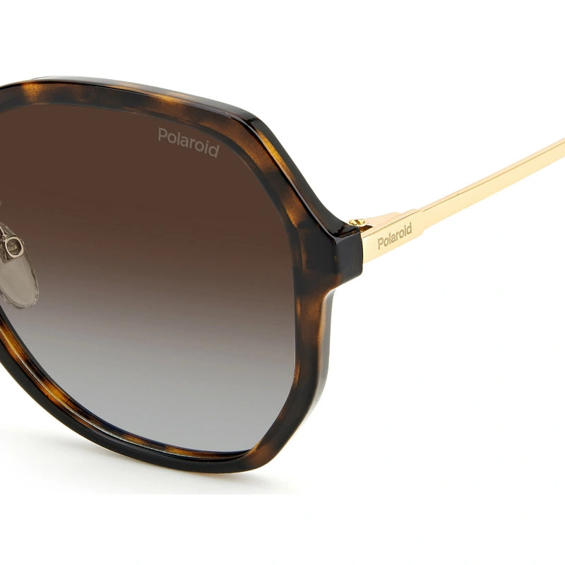 Polaroid 6177/G/S Men Tortoise and Gold Hexagonal Sunglasses