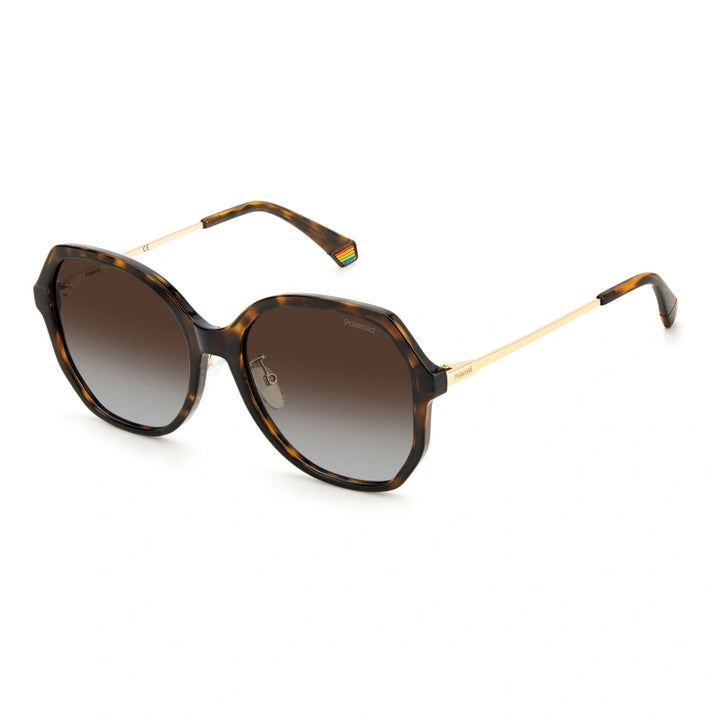 Polaroid 6177/G/S Men Tortoise and Gold Hexagonal Sunglasses